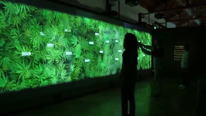 Museum of Weed for Weedmaps